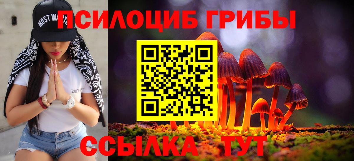 как найти наркотики  Вход с VPN  Серов  Галлюциногенные грибы мухоморы 